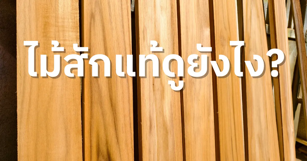 ดูยังไงให้แน่ใจว่าไม้สักแท้?